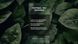 Гра-практика для відновлення Вільна